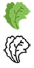 vegetable