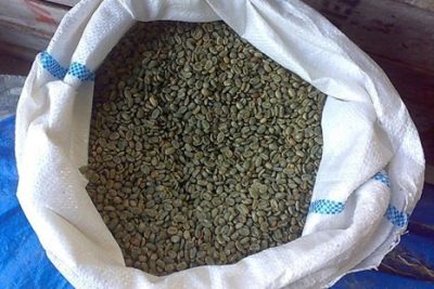 KSU Baliem Arabica Sudah Mengekspor Total 12 Ton Kopi Arabica Ke Amerika