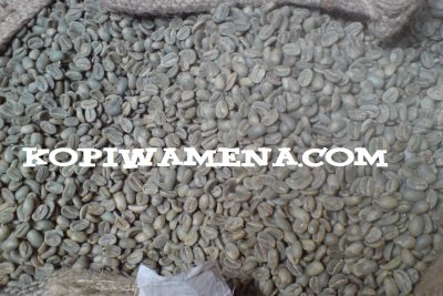 Harga kopi arabika dari Wamena naik 32,5%