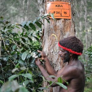 Menjadi Anggota Associate KBA