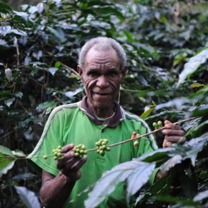 Menjadi Anggota Peninjau KBA